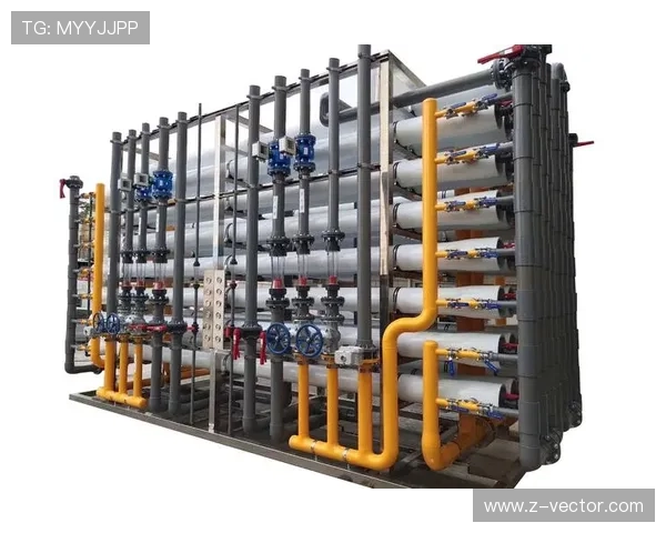 奥尔莫肋部渗透与小范围配合解析