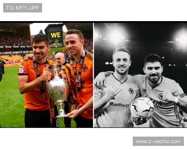 内维斯作为英冠冠军队长的带队成就解析