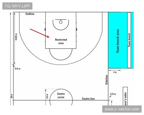 FIBA和NBA规则区别：专业解析两大体系的核心差异